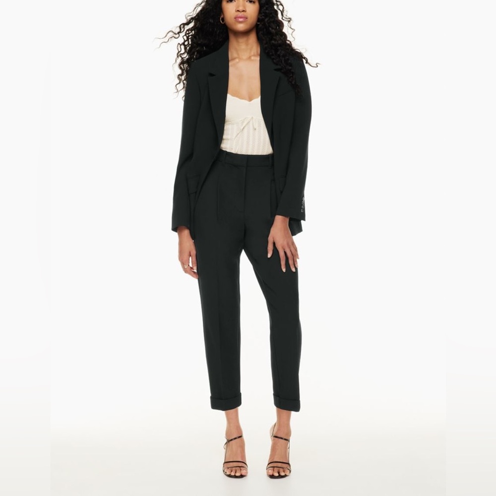 Aritzia Wilfred Dashwood Pant
